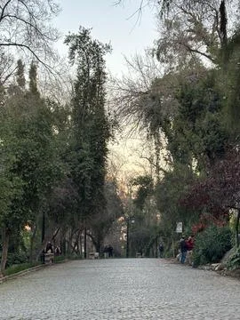 Park with Stone Path and Trees Stock Photos