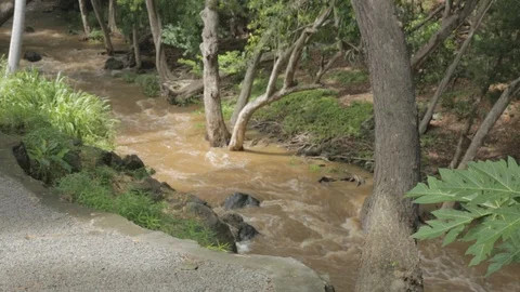 Park Stream Stock Footage 105334765