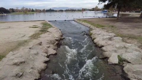 Park stream Stock Footage 167565989