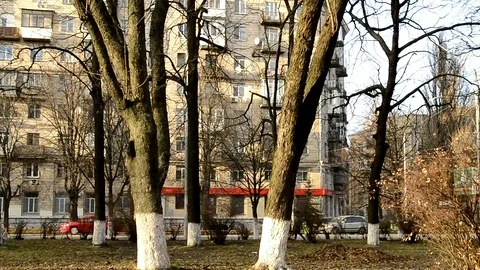 Park Street Stock Footage 82965932