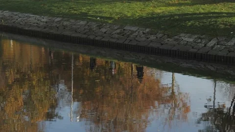 Park Stroll Early Evening Seen From River Reflection at Autumn Stock Footage 233920038
