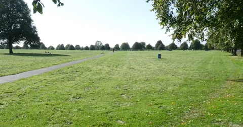Park in summer. Stock Footage 79600917
