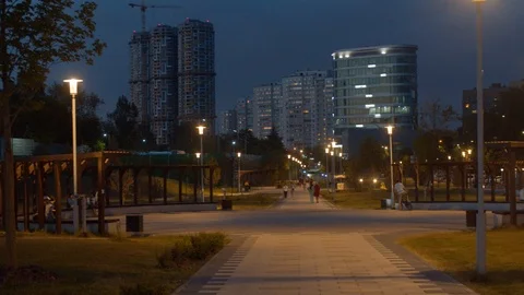 Park at summer night Video stock 115532597