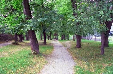 Park in summer Stock Photos