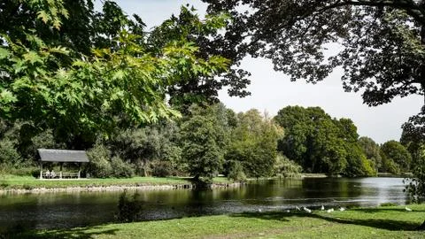 A park in summer Stock Photos