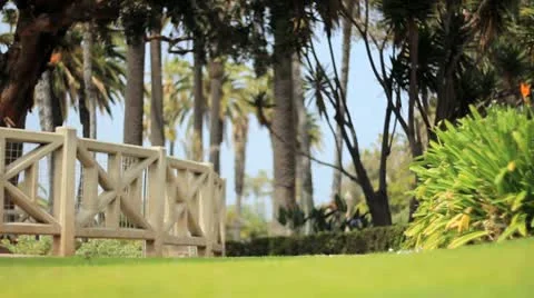 Park Sunny Day Stock Footage 10910717