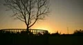 Park Sunset 02 Dolly R Tree HD Footage