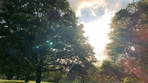 Park Sunset 1 Stock Footage 119984905