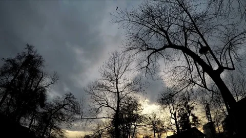 Park at sunset 2 库存影片 82757911