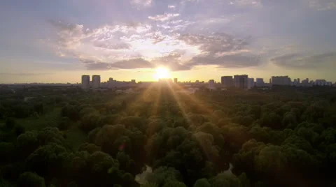 Park sunset Stock Footage 53253883