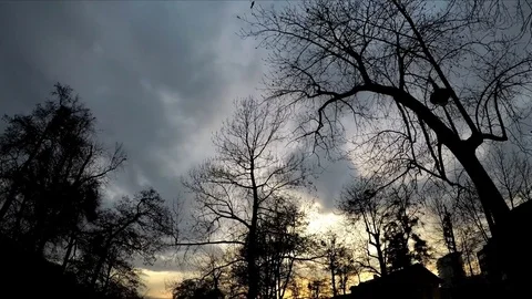 Park at sunset 库存影片 82758472