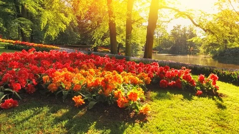 Park on sunset Stock Footage 121671698