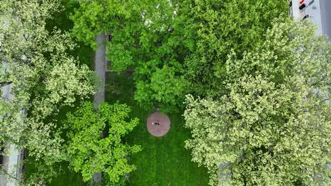 Of a Park - Syracuse, NY Foto stock
