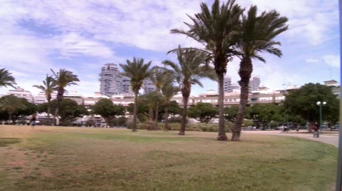 Park in Tel-Aviv Stock Footage 534079