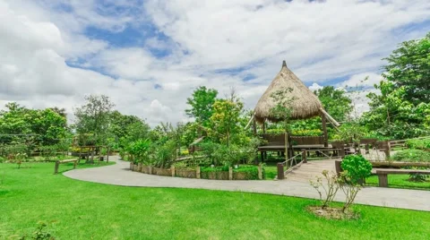Park in Thailand Stock Footage 55576627
