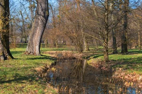 Park through which the river flows. Trees reflecting in the water. Stock Photos