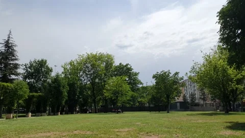 Park time lapse 動画素材 196166128
