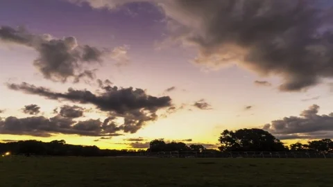 Park Timelapse Austin Texas Video stock 81483800