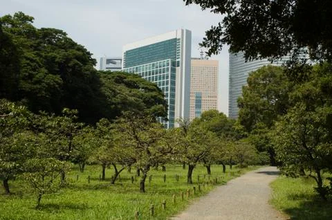 Park in Tokyo 库存照片