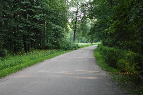 Park track Stockfoto's