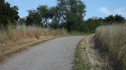 Park trail Stock Footage 5323050