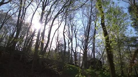 Park Trail Video stock 10906112