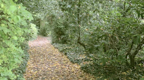 Park Trail Stock Footage 36051912