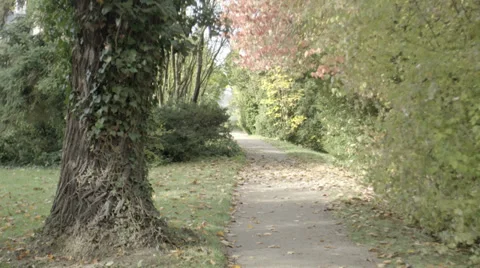 Park Trail Stock Footage 36051947