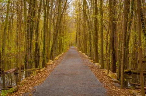 Park trail in the spring Stock Photos