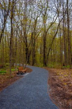 Park trail in the spring Stock Photos