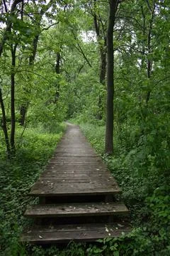 A park trail in the summer Stock Photos