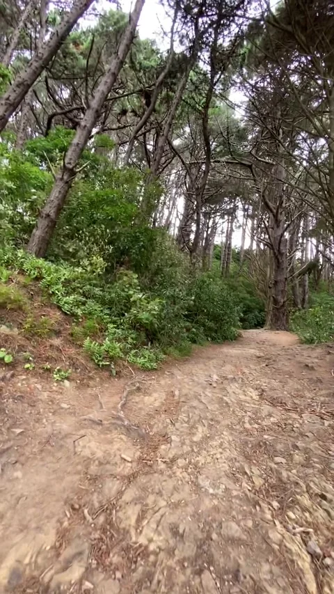 Park trail in Wellington Видео 344255885