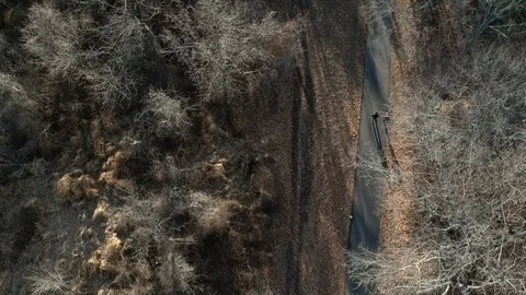 Park trail in the winter Video stock 87296763