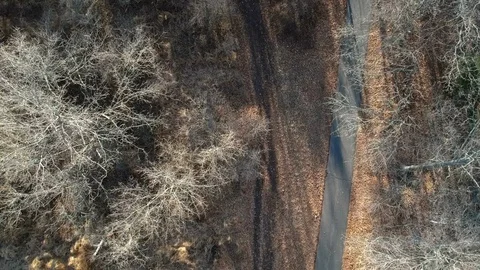 Park trail in the winter Stock-Footage 87340352