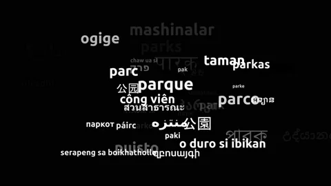 Park Translated in 42 Worldwide Languages Endless Looping 3d Zooming Wordclou Video stock 145205396