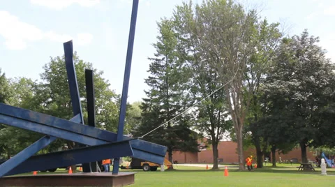 PARK TREE CUTTING Stock Footage 33829640