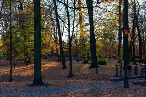 A park with trees and a bench Stock Photos
