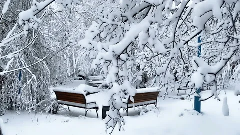 Park with trees and benches during snow storm, first snow, new year mood Stock Footage 142527488