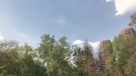 Park, trees and building Stock Footage 85584697