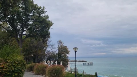Park trees and lamppost overlooking calm sea on cloudy day Stock Footage 320134150