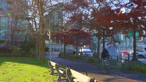 Park trees and skyscrapes at sunset Vídeo Stock 144456366