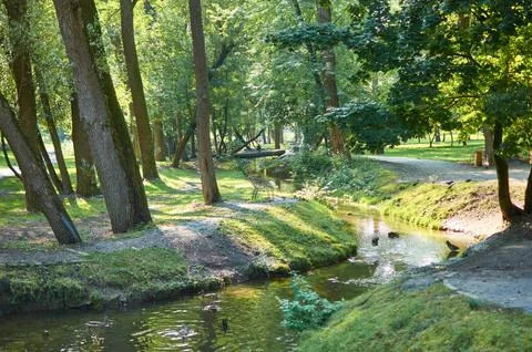 Park with trees, river, ducks log bridge sunny day green grass landscape view Stock Photos