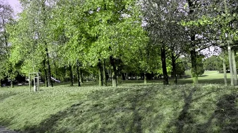 Park of Turin Stock Footage 81122308