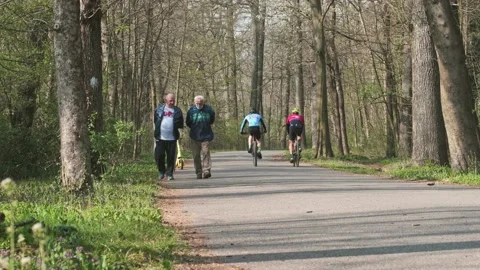 In the park two men walk and others ride bicycles Stock Footage 151776080