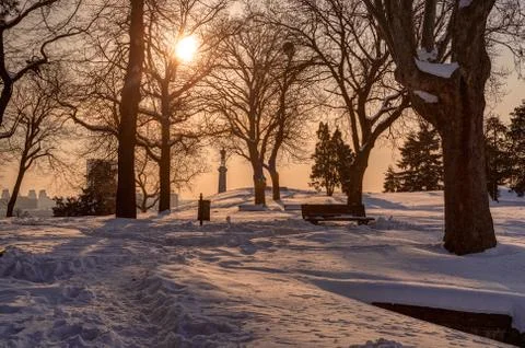 Park under snow Stock Photos