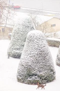 Park under snow Stock Photos