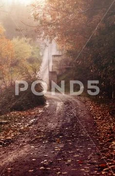Park valley in autumn in the fog, Shallow DOF Stock Photos
