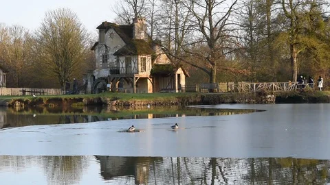 Park of Versailles Stock Footage 86897423