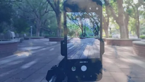 Park Vertical  Capture  Scenic Blue Sky Cloudy Timelapse  Cinematic Reveal Stock Footage 318733956