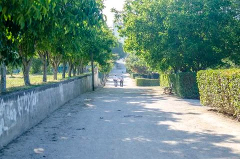 Park view and exercising elderly folks Stock Photos